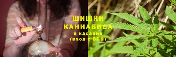 дживик Зеленодольск