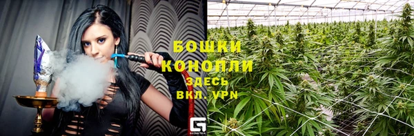 дживик Зеленодольск