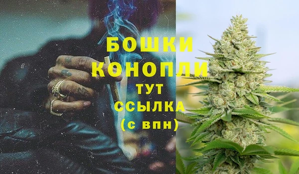 дживик Зеленодольск