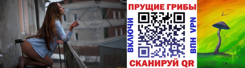 Псилоцибиновые грибы ЛСД  Купить  Черепаново 